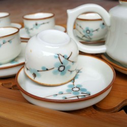 Ấm pha trà Bát Tràng giá rẻ họa tiết hoa đào AC42