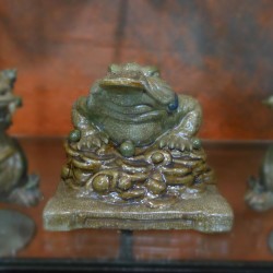 Thiềm thừ - cóc tài lộc - cóc ngậm tiền cỡ trung Thiềm thừ - cóc tài lộc - cóc ngậm tiền cỡ trung