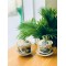 Bát sâm thờ men rạn rồng phượng Bát Tràng BS04