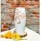 Lọ hoa dáng bom đào hạc LH035A