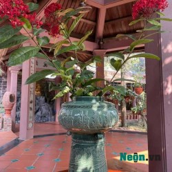 Bình hoa khắc nổi trống đồng xanh ngọc LH12