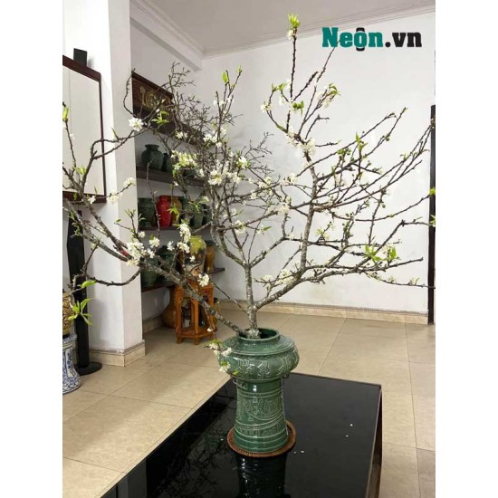 Bình hoa khắc nổi trống đồng xanh ngọc LH12